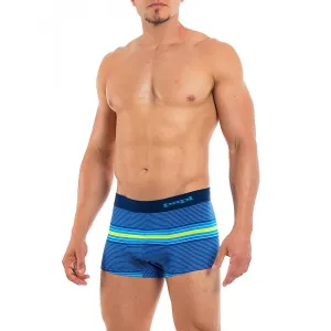 Beachside Stripes Brazilian Trunk In Barrief Reef