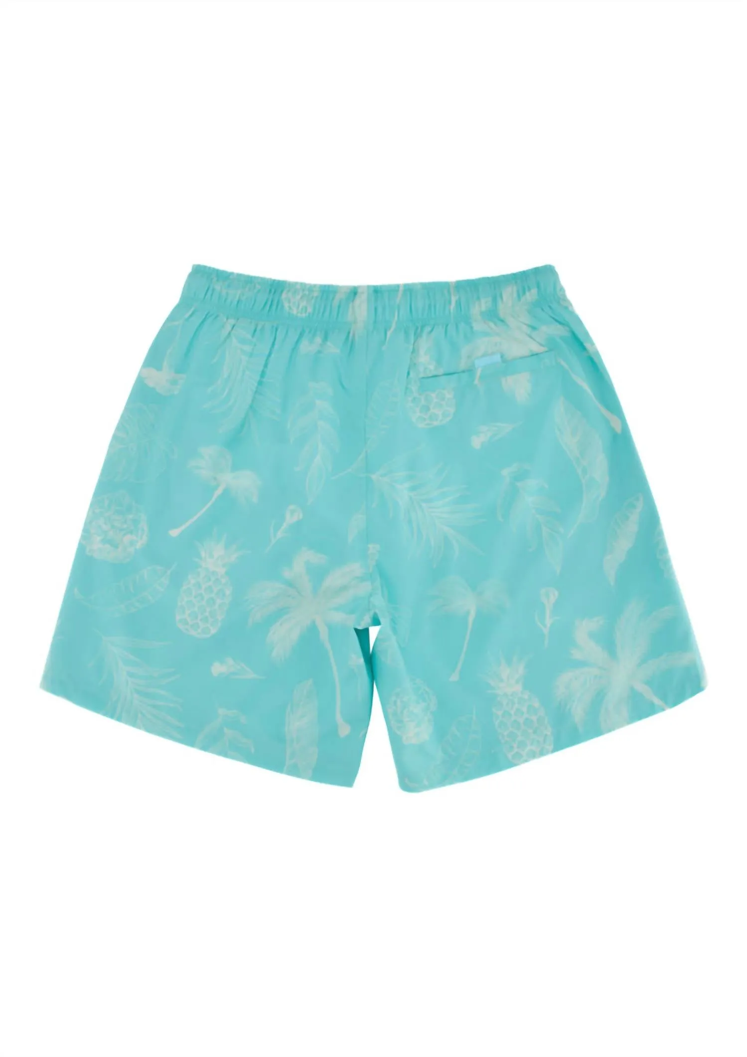 Classic Ropes Trunks In Aqua Tropics