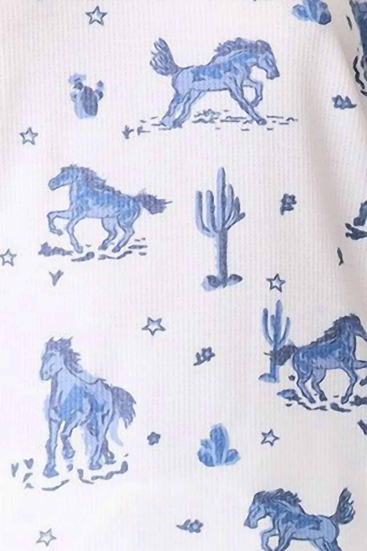 Desert Daze Pants In Blue