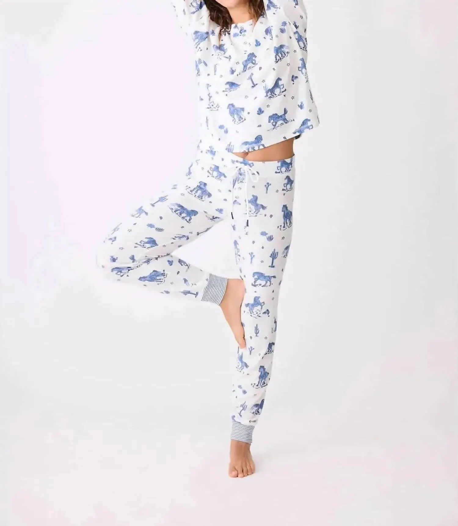 Desert Daze Pants In Blue