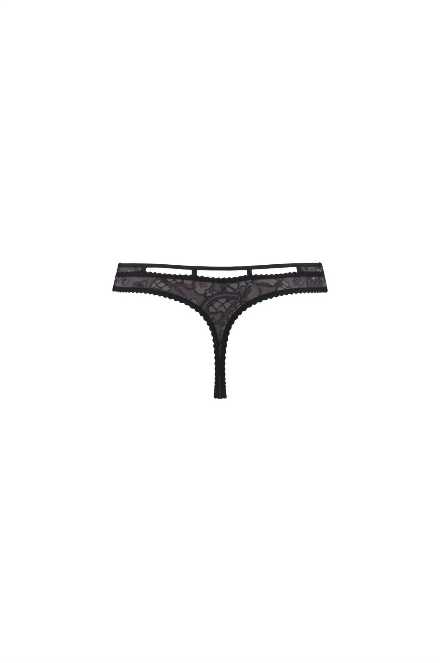 Lioness Of Brittany Thong In Black