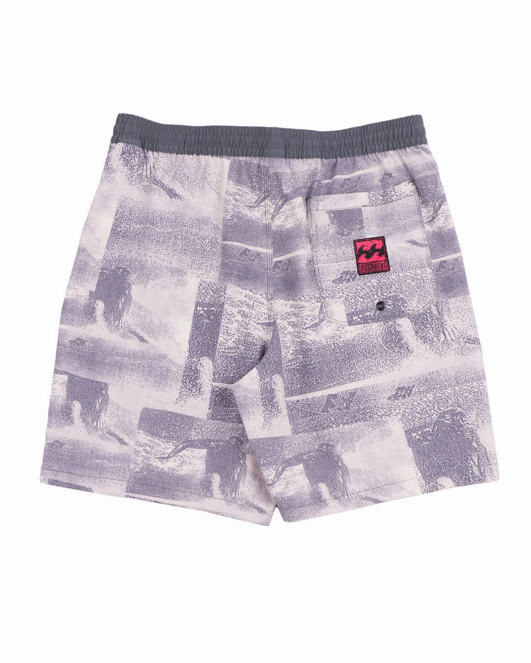 Riot Layback 18.5" Boardshorts
