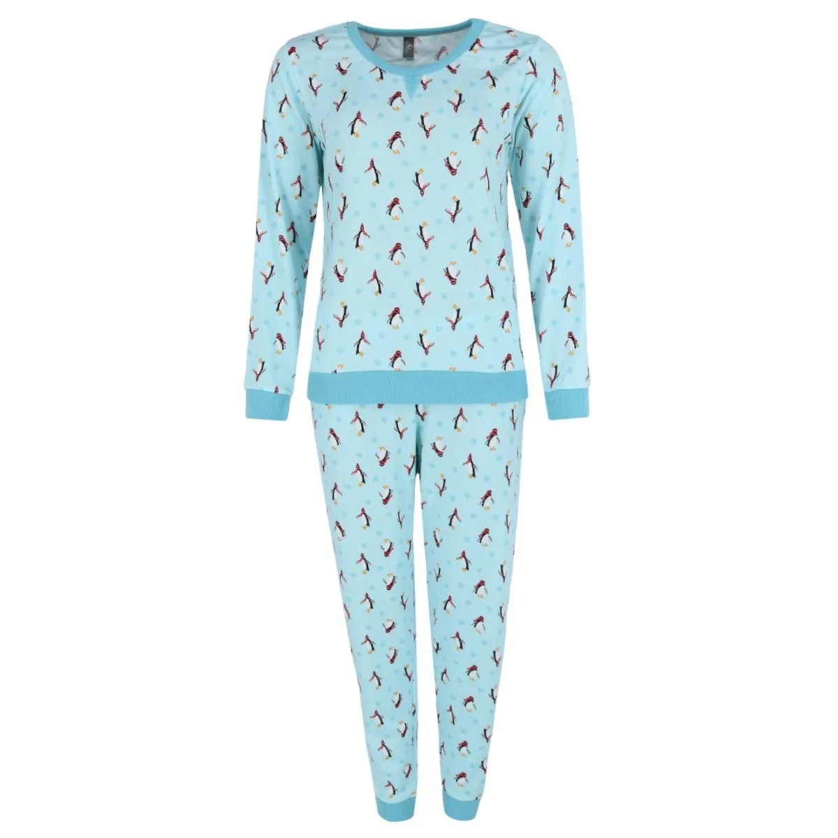 Women's Cozy Knit Long Sleeve and Jogger Set